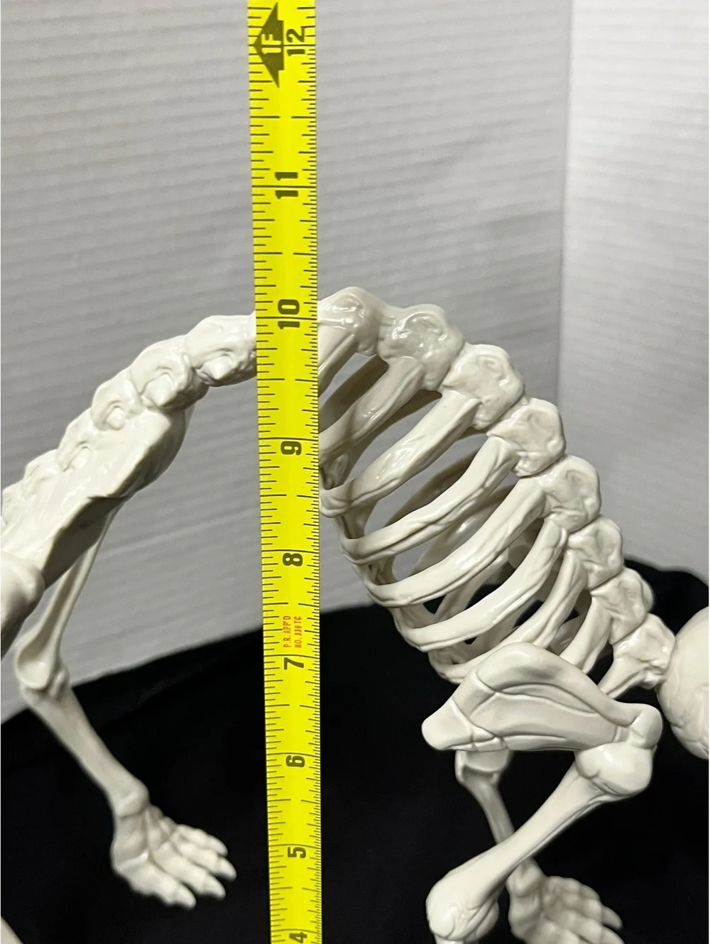 Spooky Cat Skeleton Decor - Perfect for Halloween Vibes